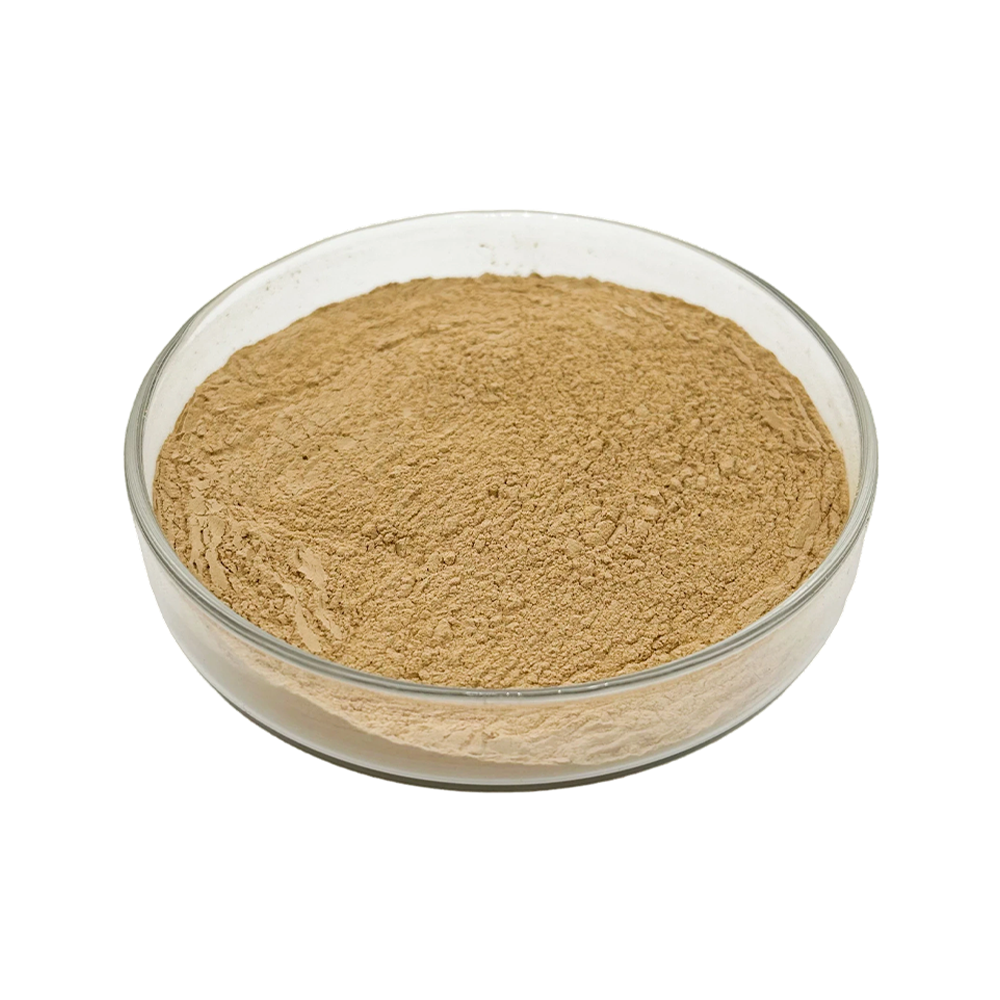 Off-white light beige Beta Ecdysterone Powder fine powder detail