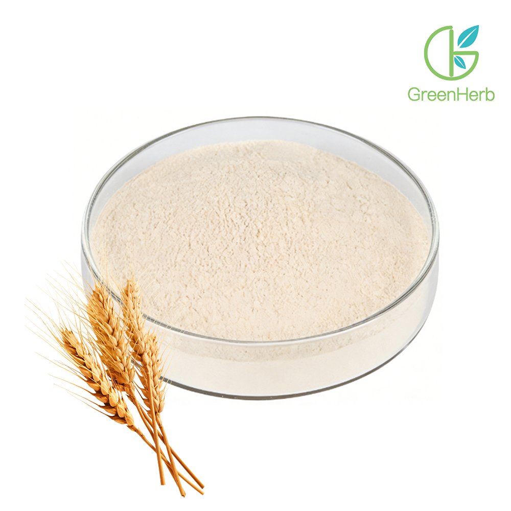 Wheat Protein Powder close‑up texture detail