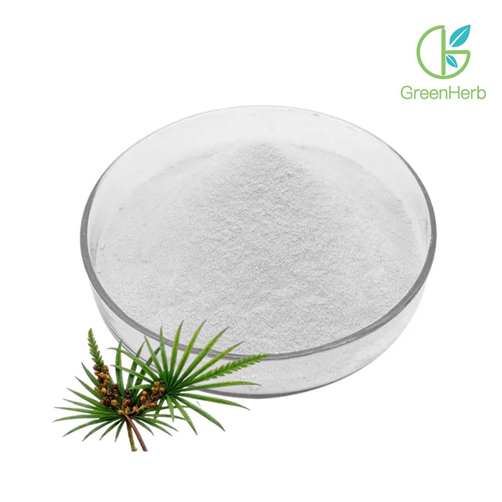 Saw Palmetto Extract close-up texture detail, dried saw palmetto fruit extract powder macro photography